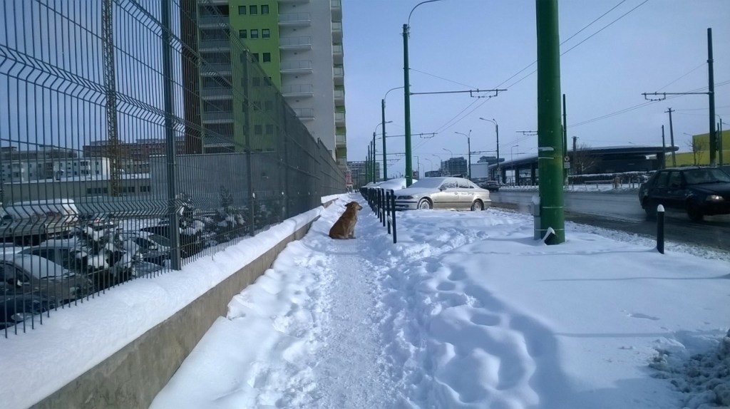 "Care-i sensu' vieţii, frate? Adică, toţi oamenii ăştia, în maşinile lor, unde se duc de nu stau şi ei să se uite la atâta zăpadă, gen."
